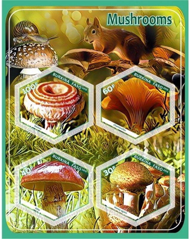 Mushrooms