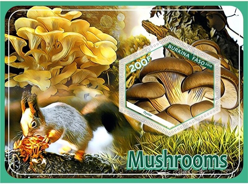 Mushrooms