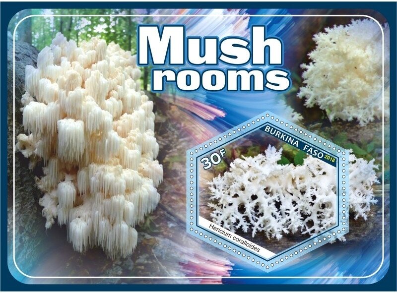 Mushrooms