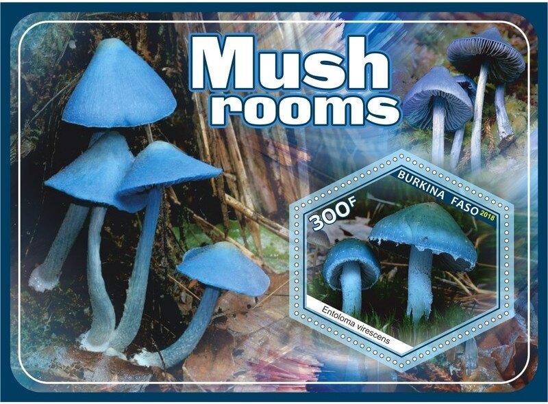 Mushrooms