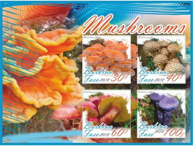 Mushrooms