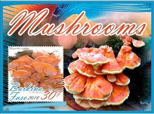 Souvenir Sheet, Mushrooms, Cinderellas,  , Mushrooms, Plants (Flora)