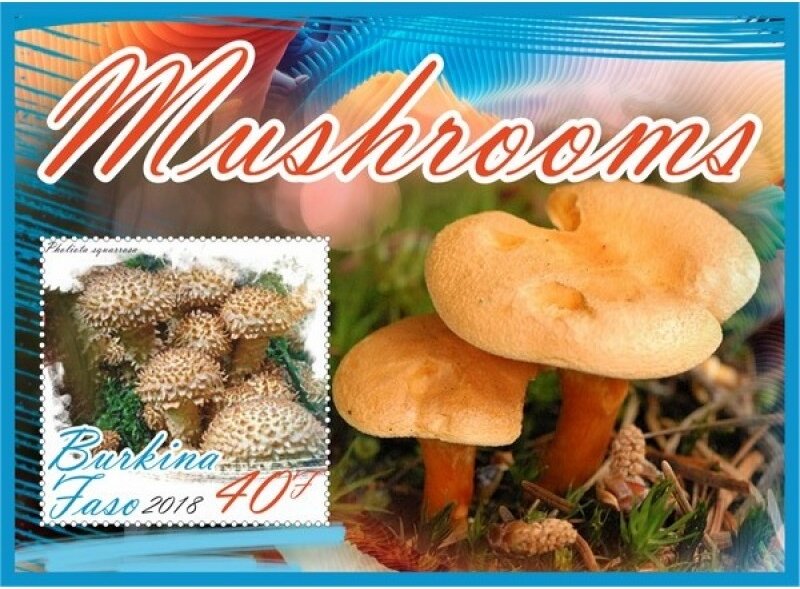 Mushrooms