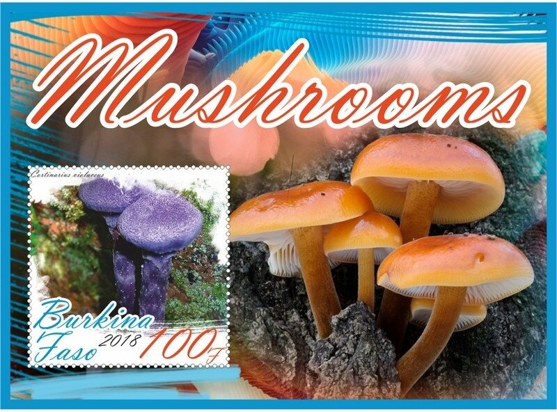 Mushrooms