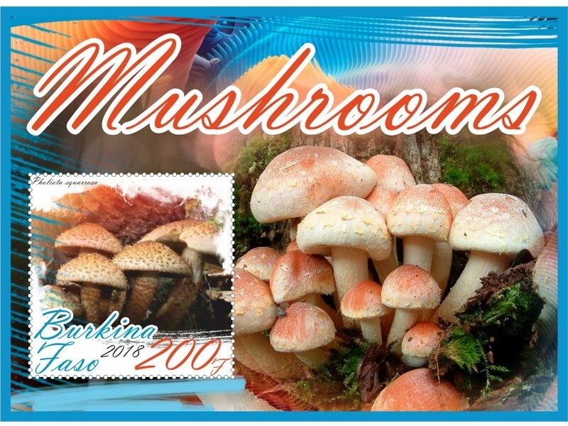 Mushrooms