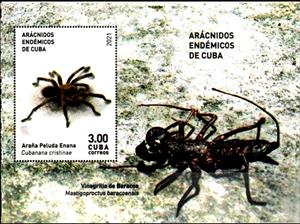 Souvenir Sheet, Mastigoproctus baracoensis and Cubanana cristinae, Cuba,  , Scorpions, Spiders