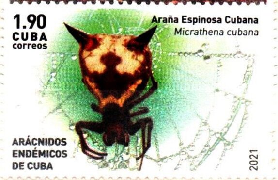 Micrathena cubana