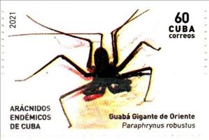 Stamp, Paraphrynus robustus, Cuba,  , Spiders