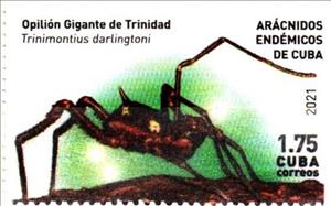Stamp, Trinimontius darlingtoni, Cuba,  , Spiders