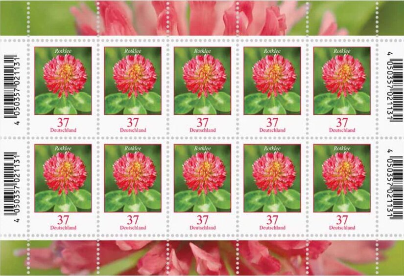 Red Clover