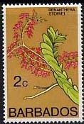 Renanthera storiei