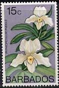 Stamp, Paphiopedilum F.C.Puddle, Barbados,  , Flowers, Orchids, Plants (Flora)