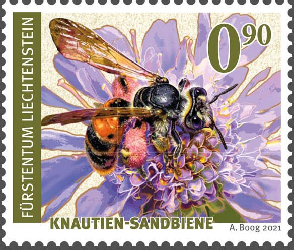 Andrena hattorfiana
