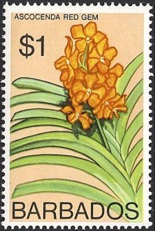 Stamp, Vanda Red Gem (syn.Ascocenda Red Gem), Barbados,  , Flowers, Orchids, Plants (Flora)