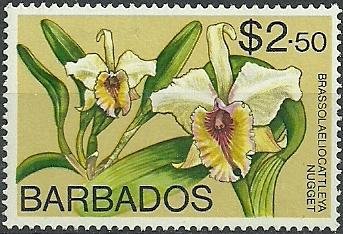 Stamp, Rhyncholaeliocattleya Nugget (syn.Brassolaeliocattleya Nugge, Barbados,  , Flowers, Orchids, Plants (Flora)