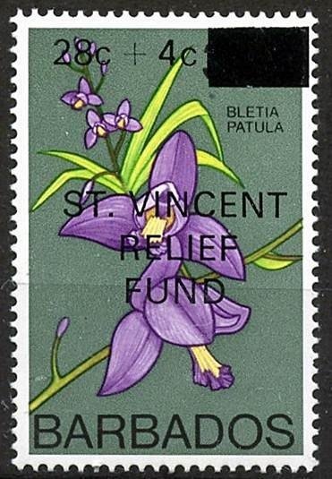 Bletia patula