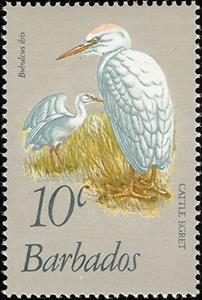 Stamp, Cattle Egret (Bubulcus ibis), Barbados,  , Birds, Animals (Fauna)
