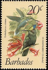 Stamp, Antillean Crested Hummingbird (Orthorhyncus cristatus), Barbados,  , Birds, Animals (Fauna), Hummingbirds