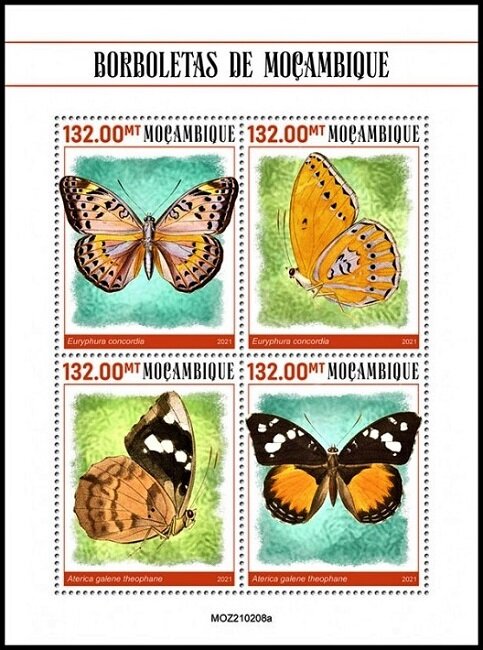Butterflies of Mozambique