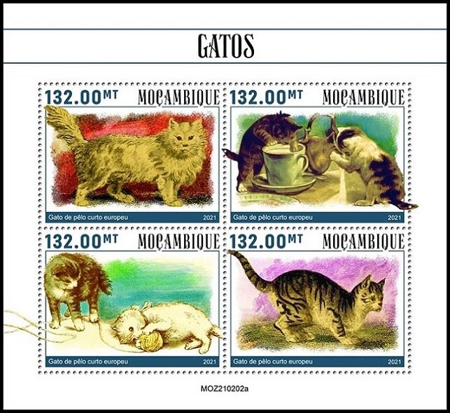 Cats