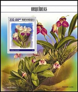 Souvenir Sheet, Cattleya mendelii, Mozambique,  , Orchids