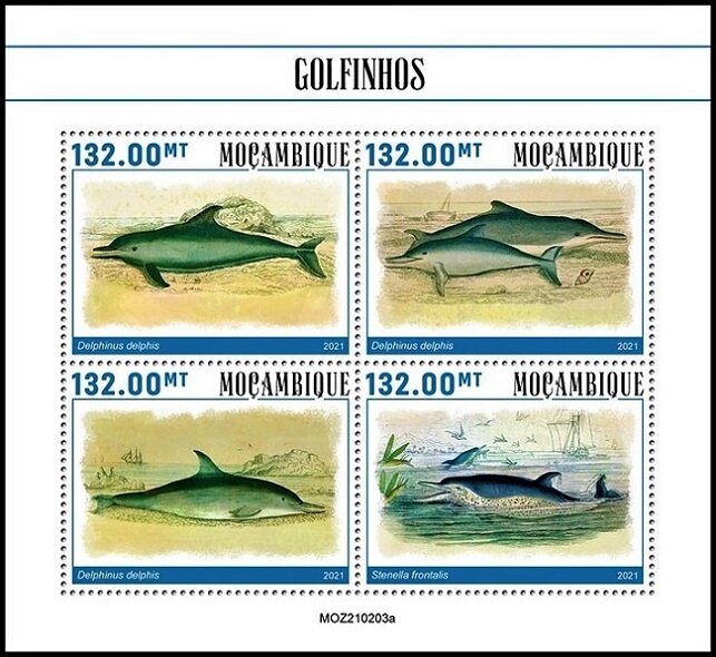 Dolphins