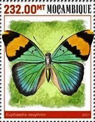 Stamp, Euphaedra neophron, Mozambique,  , Animals (Fauna), Butterflies, Insects
