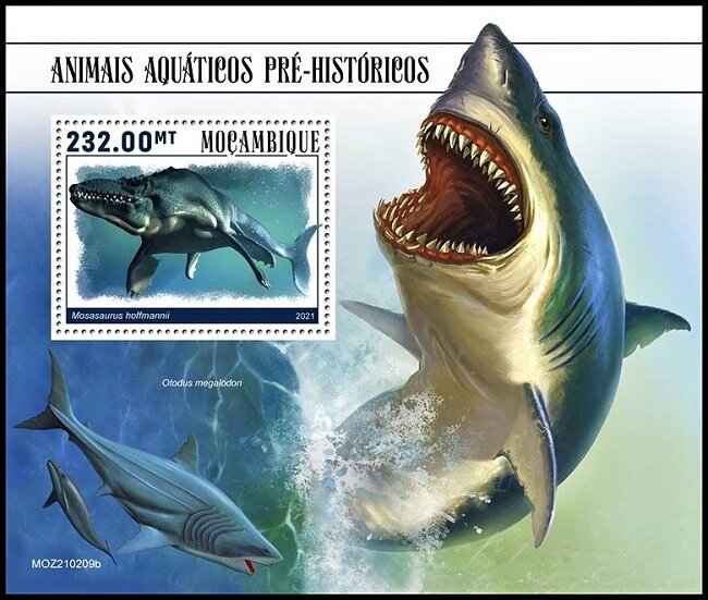Mosasaurus hoffmannii
