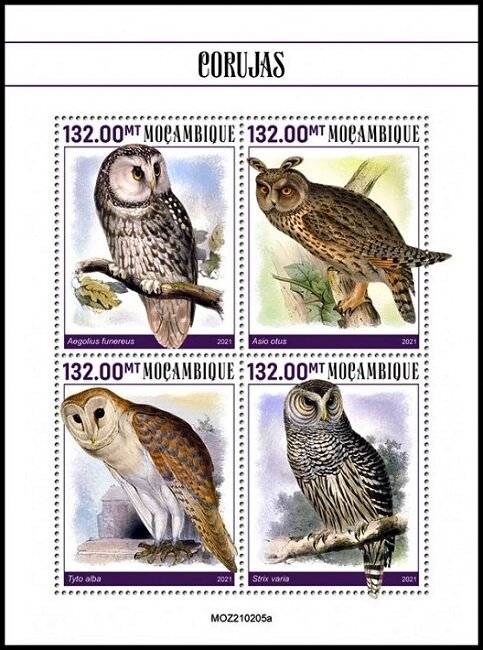Owls