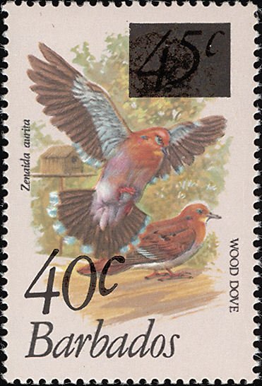 Zenaida Dove (Zenaida aurita) - overprinted