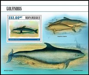 Souvenir Sheet, Sagmatias obscurus, Mozambique,  , Dolphins