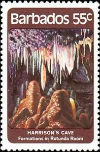 Stamp, Rotunda Formation, Barbados,  , Caves