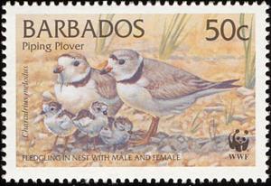 Stamp, Piping Plover (Charadrius melodus) , Barbados,  , Birds, WWF
