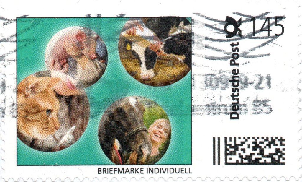 Animals
