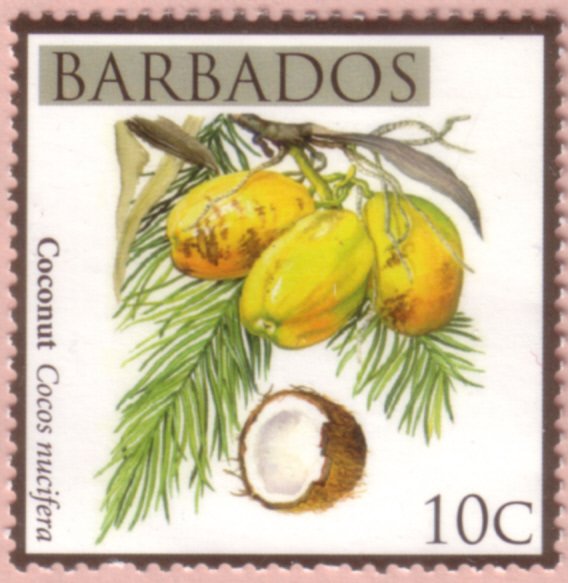 Coconut