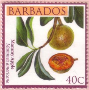 Stamp, Mammy apple, Barbados,  , Fruits
