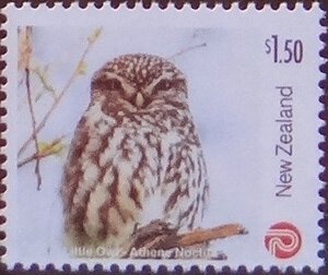 Stamp, Little Owl, Personalized and Private Mail Stamps,  , Animals (Fauna), Birds, Birds of Prey, Owls