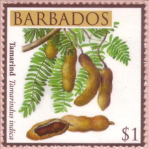 Stamp, Tamarind, Barbados,  , Fruits