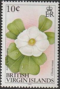 Stamp, Autograph tree (Clusia rosea), British Virgin Islands,  , Flowers, Plants (Flora)