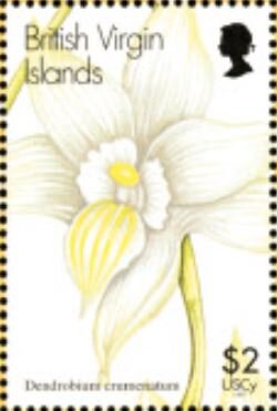 Stamp, Dendrobium crumenatum, British Virgin Islands,  , Flowers, Orchids, Plants (Flora)
