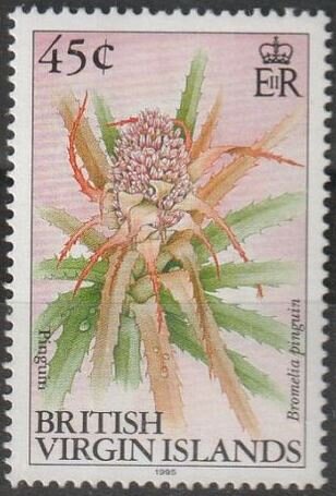 Pinguin (Bromelia pinguin)