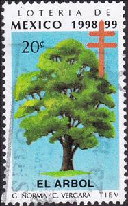 Stamp, 1998 Mexico Lottery: Tree, Cinderellas,  , Trees, Tuberculosis / TBC