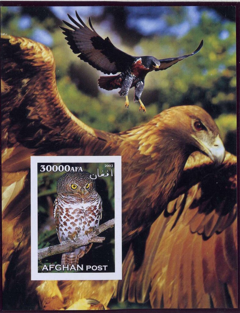 Birds