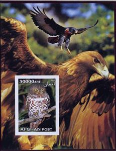 Souvenir Sheet, Birds, Cinderellas,  , Animals (Fauna), Birds