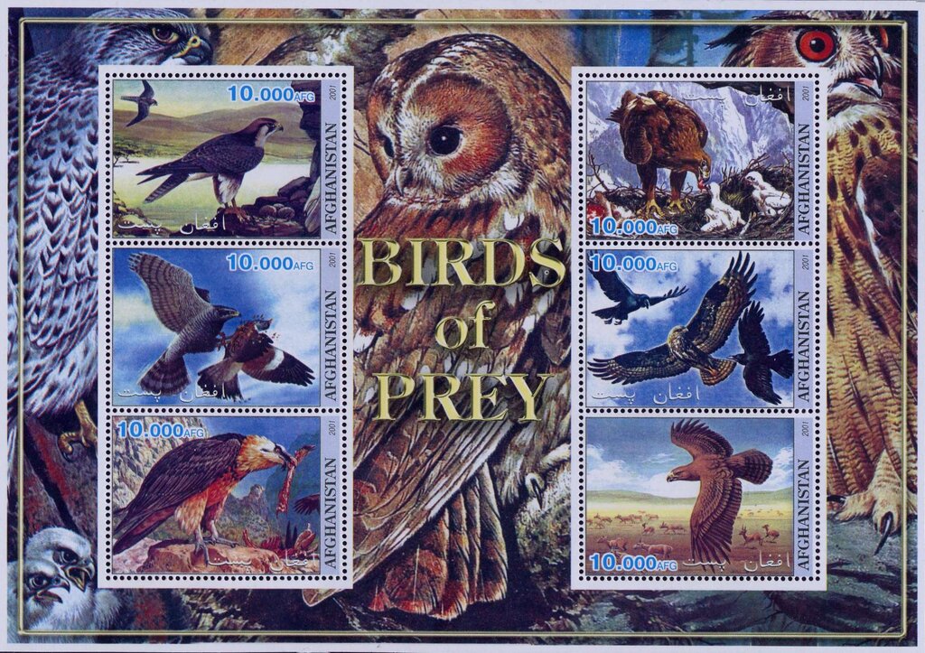 Birds of Prey