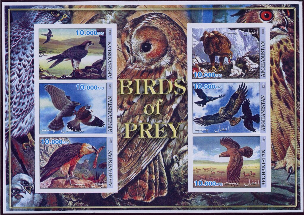 Birds of Prey