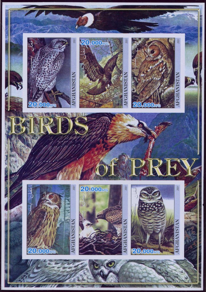 Birds of Prey