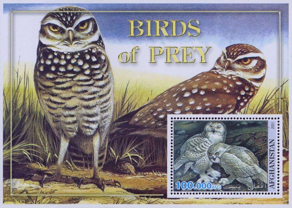 Birds of Prey