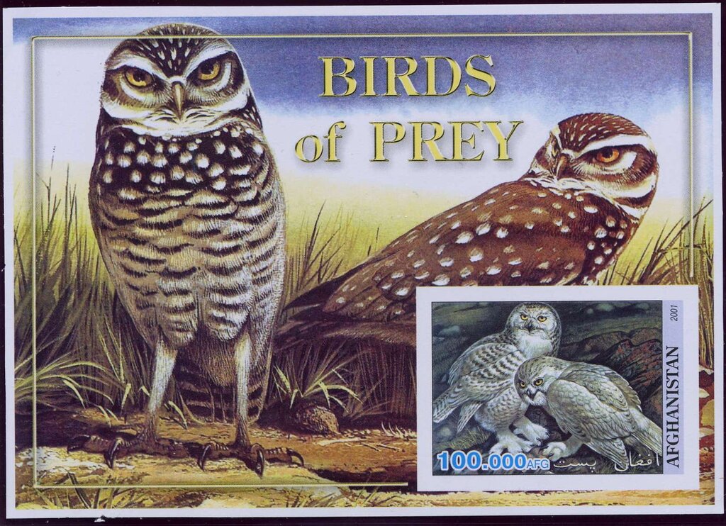 Birds of Prey