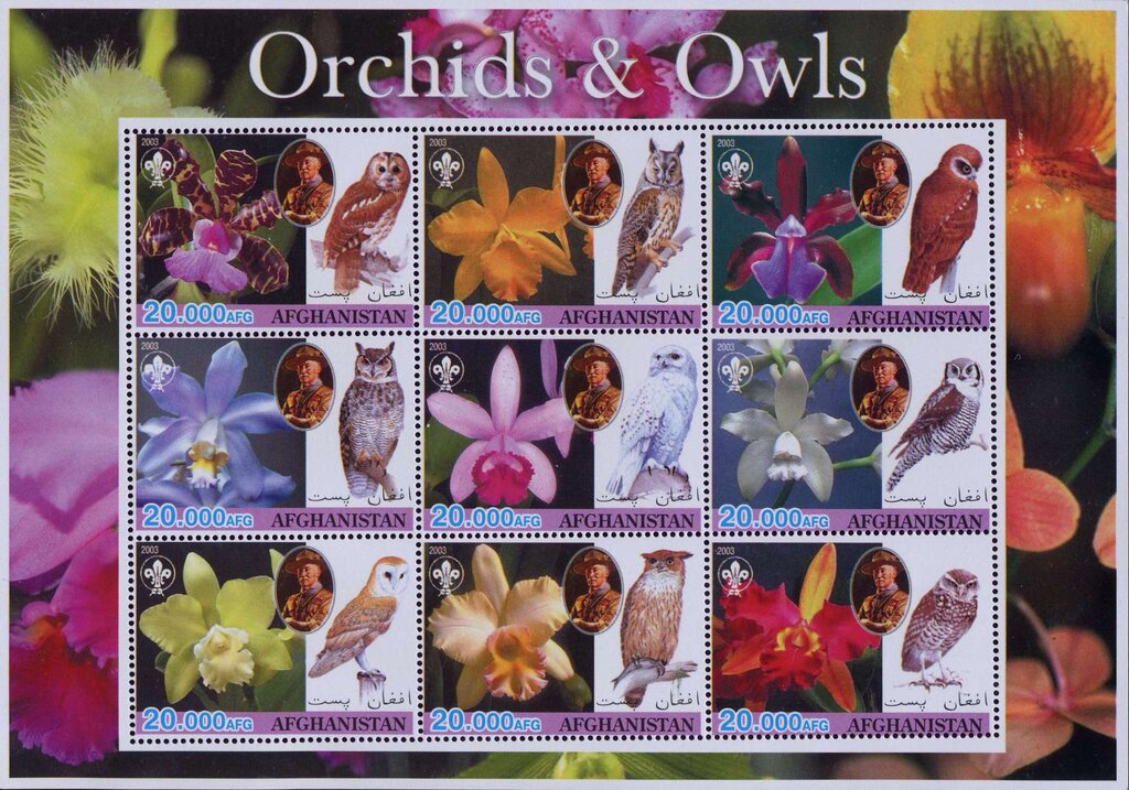 Orchids & Owls